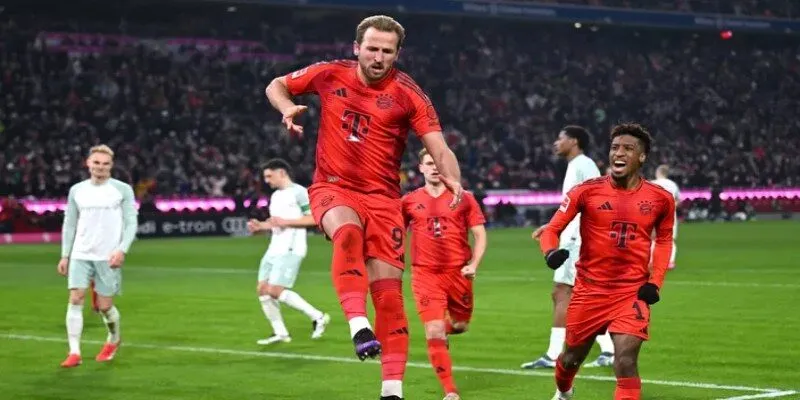 Phân tích xu hướng tỉ số là cách hiệu quả