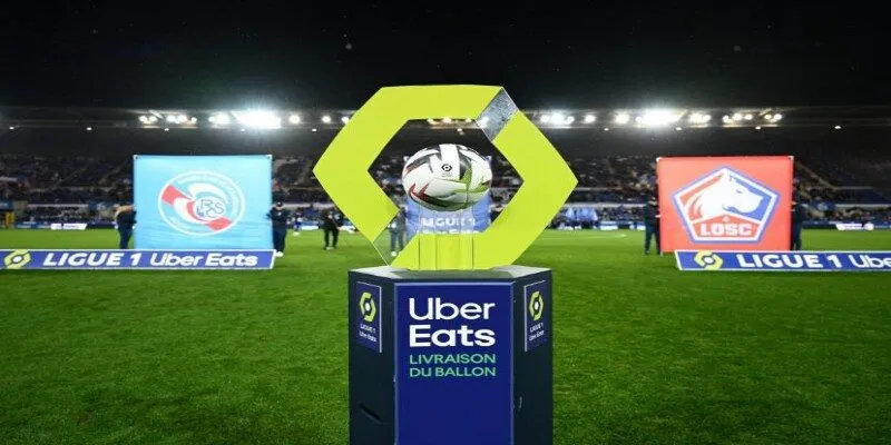 Theo đuổi cảm tính thay vì thống kê